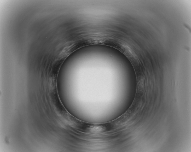 X0000096210218200801251041