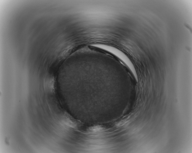 X0000096210219200801251041