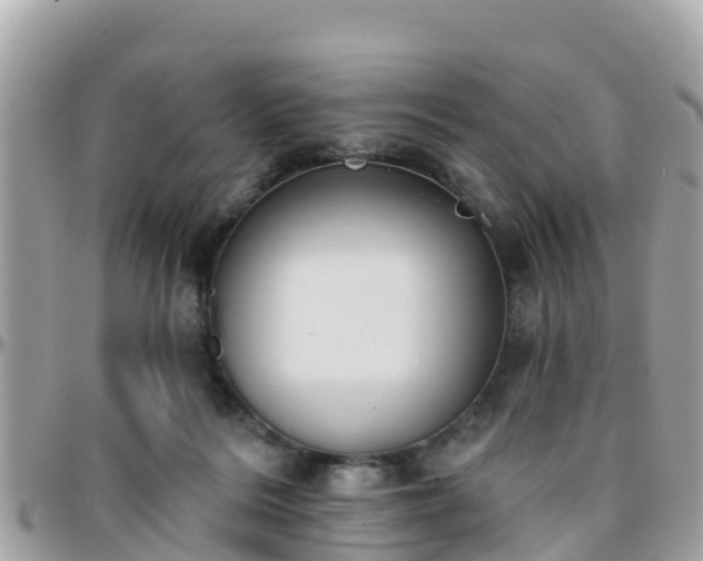 X0000096210220200801251041