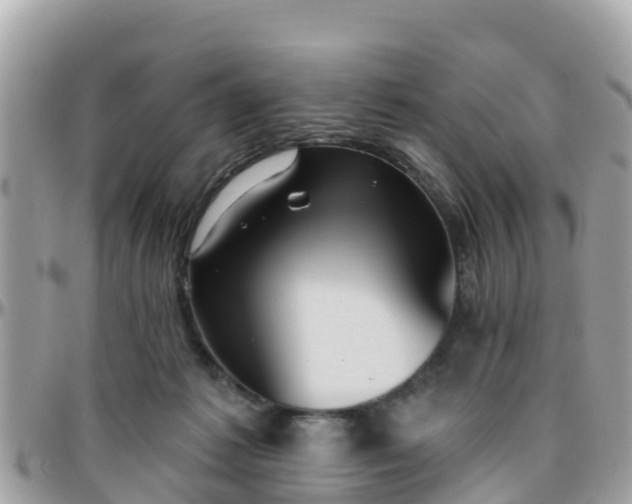 X0000096210221200801251041