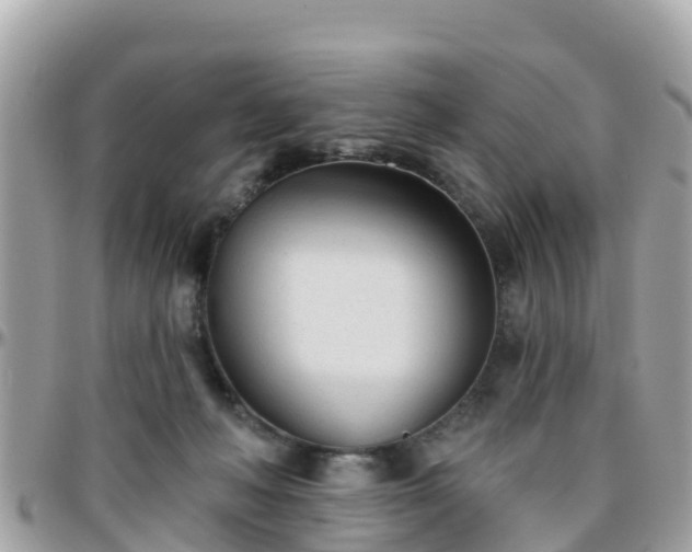 X0000096210222200801251041