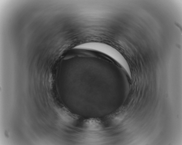 X0000096210223200801251041