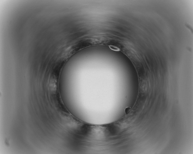 X0000096210226200801251041