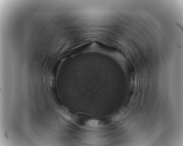 X0000096210227200801251041