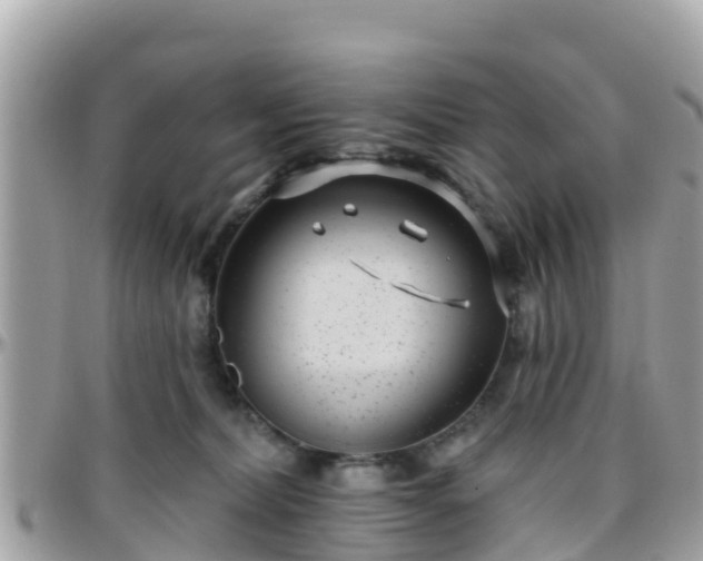 X0000096210228200801251041