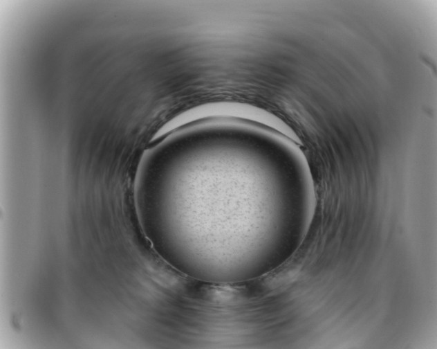 X0000096210229200801251041