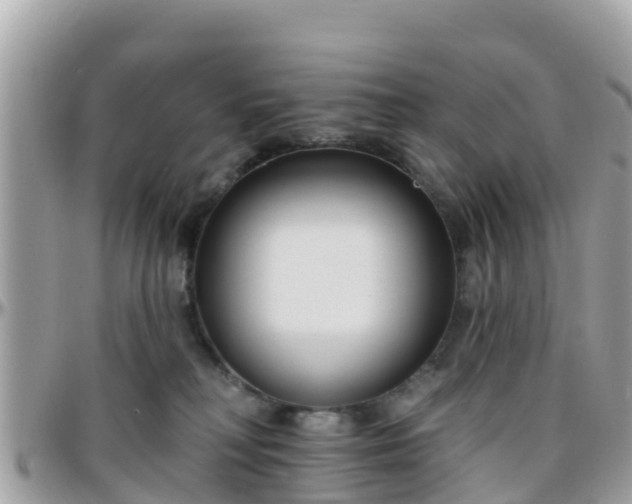 X0000096210230200801251041