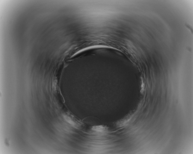 X0000096210231200801251041