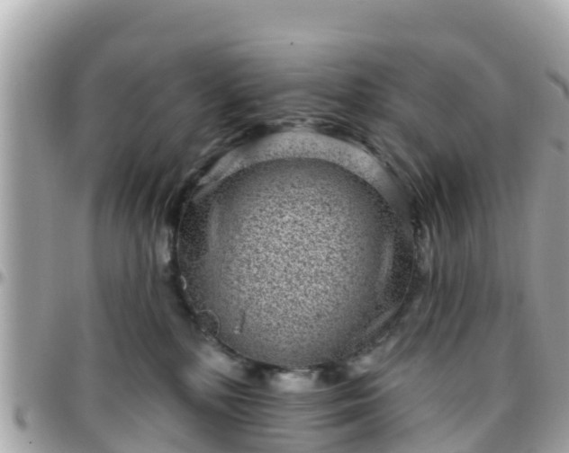 X0000096210232200801251041