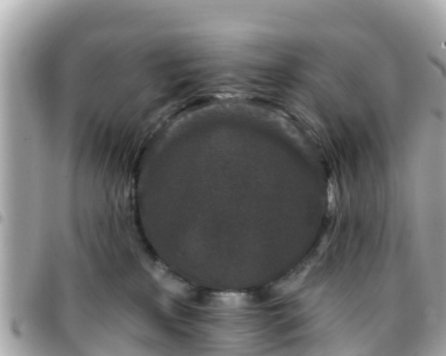 X0000096210233200801251041