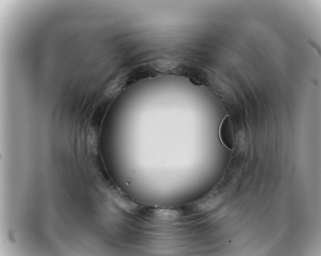 X0000096210234200801251041