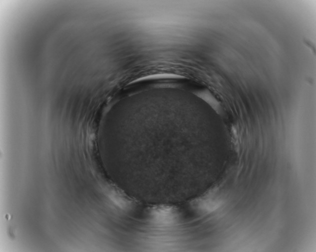 X0000096210235200801251041