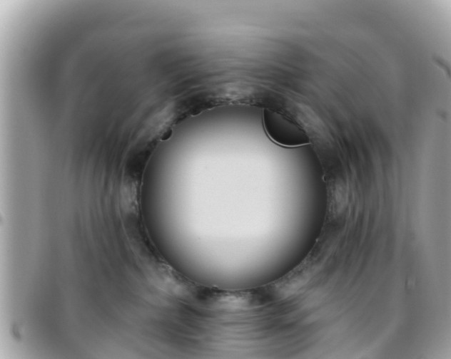 X0000096210236200801251041