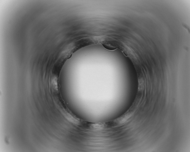 X0000096210238200801251041