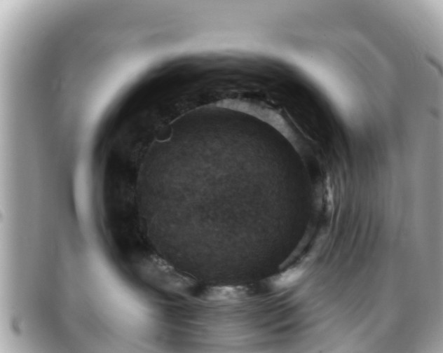 X0000096210239200801251041