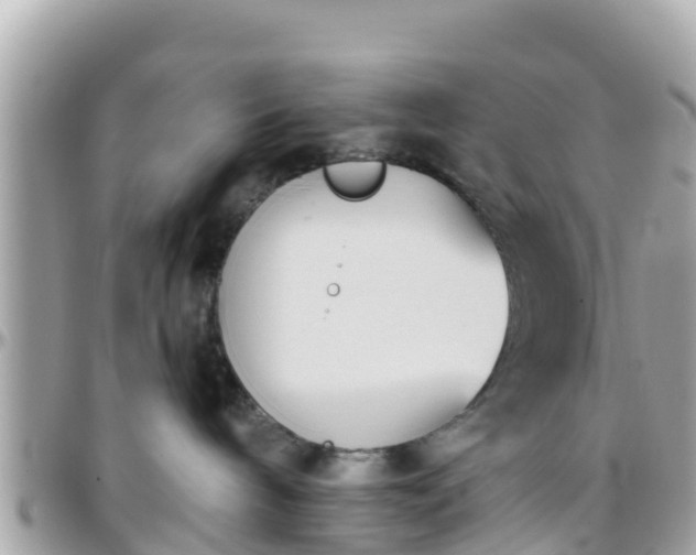 X0000096210240200801251041