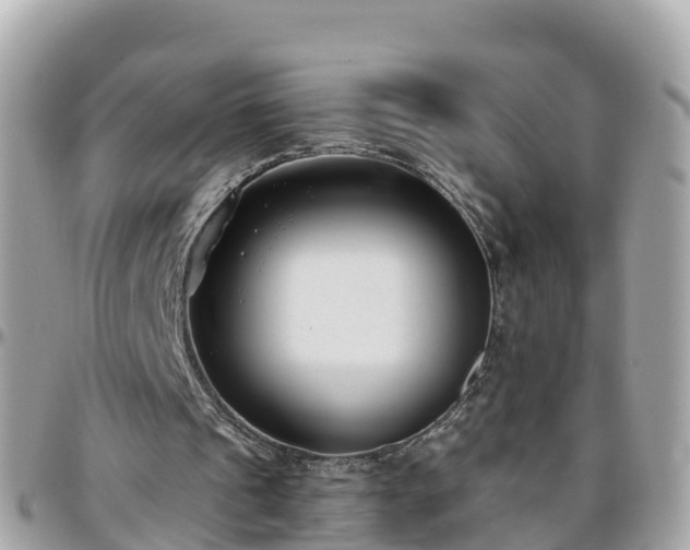 X0000096210241200801251040