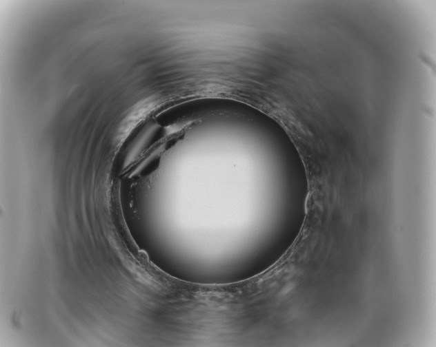 X0000096210242200801251040