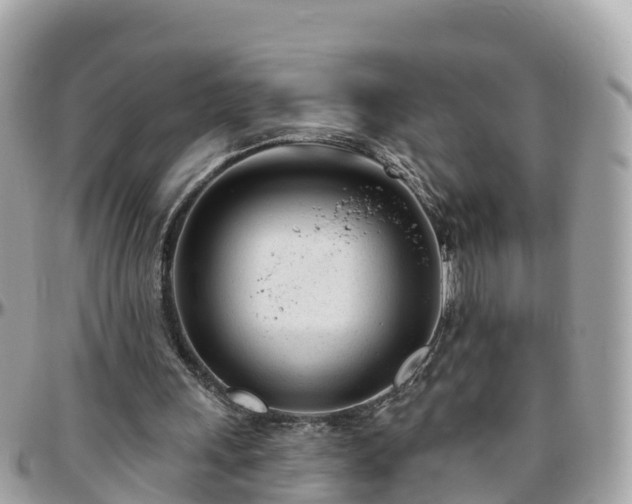 X0000096210243200801251040