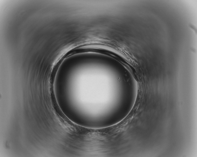 X0000096210244200801251040