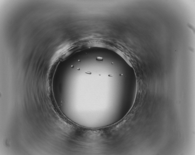 X0000096210245200801251040