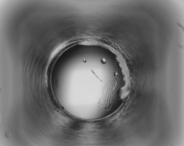 X0000096210246200801251040