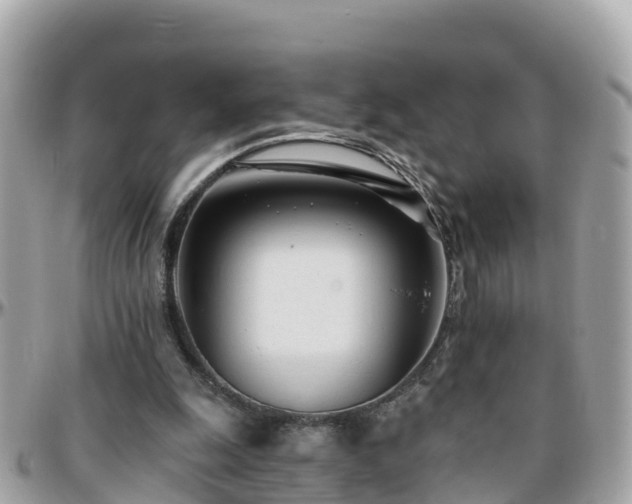 X0000096210247200801251040