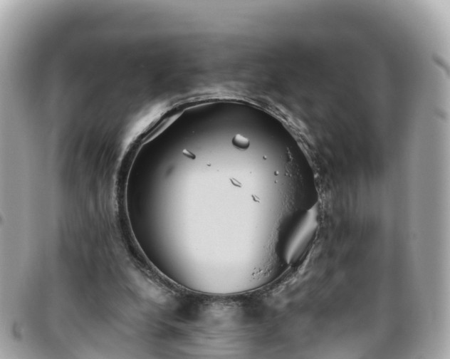 X0000096210248200801251040