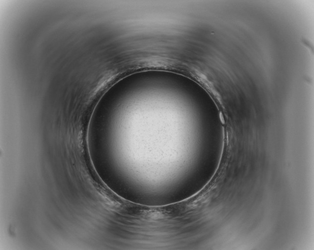 X0000096210249200801251040