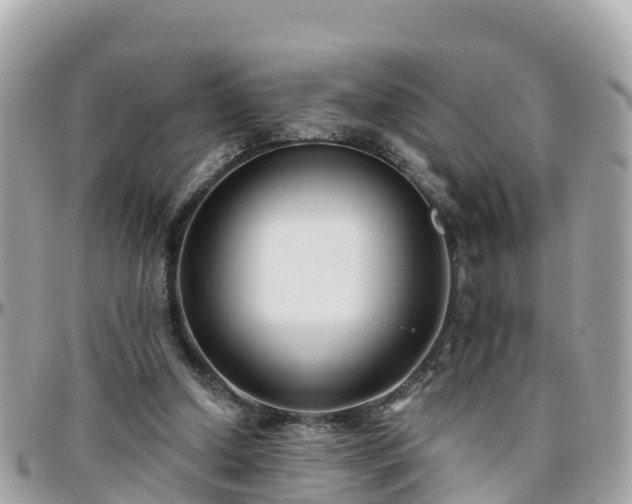 X0000096210250200801251040