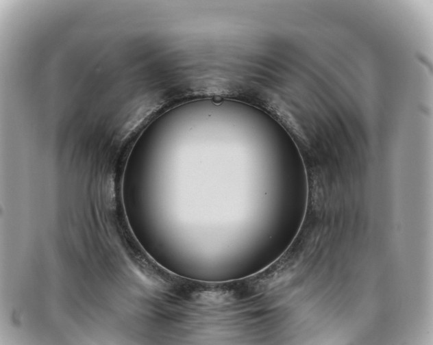 X0000096210251200801251040