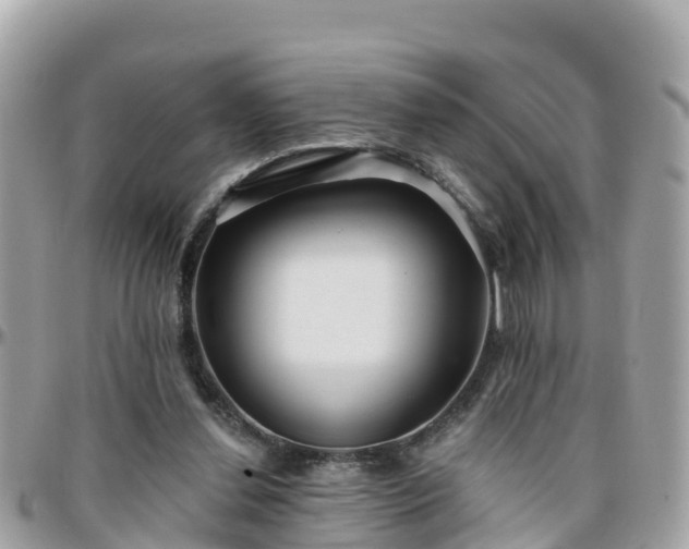 X0000096210252200801251040