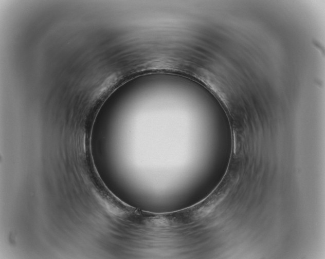 X0000096210253200801251040