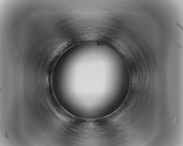 X0000096210254200801251040