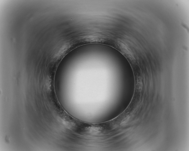 X0000096210255200801251041