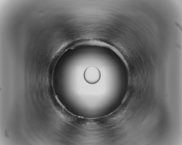 X0000096210256200801251041