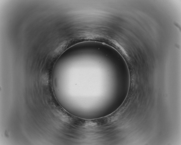 X0000096210257200801251041