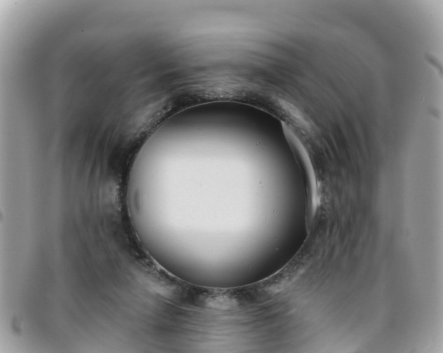 X0000096210258200801251041