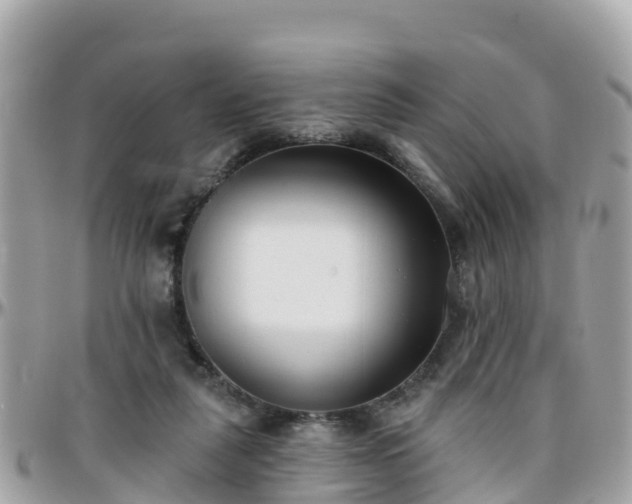 X0000096210259200801251041