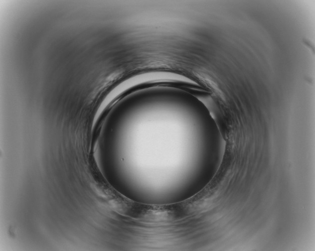 X0000096210260200801251041