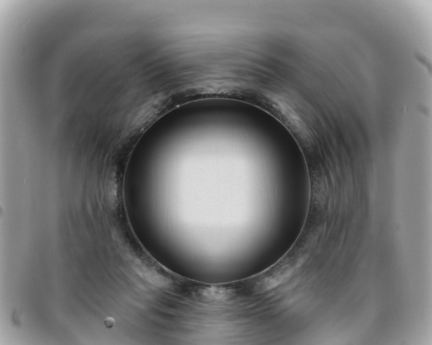 X0000096210261200801251041