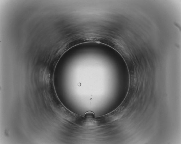 X0000096210263200801251041