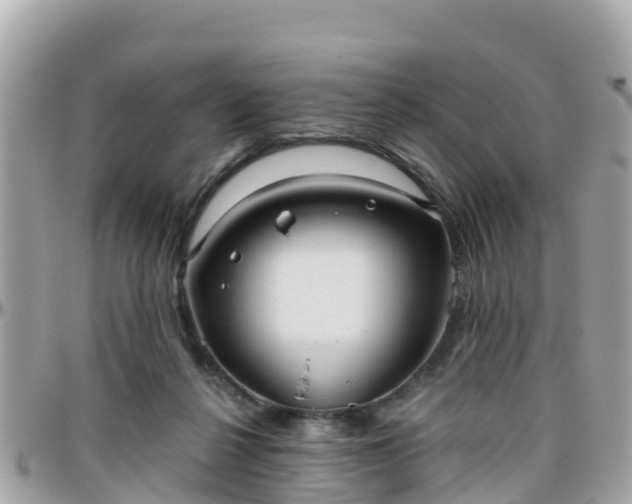 X0000096210264200801251041