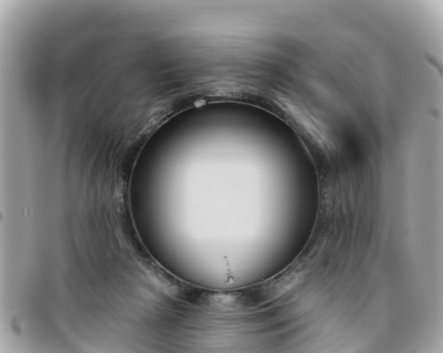 X0000096210265200801251041