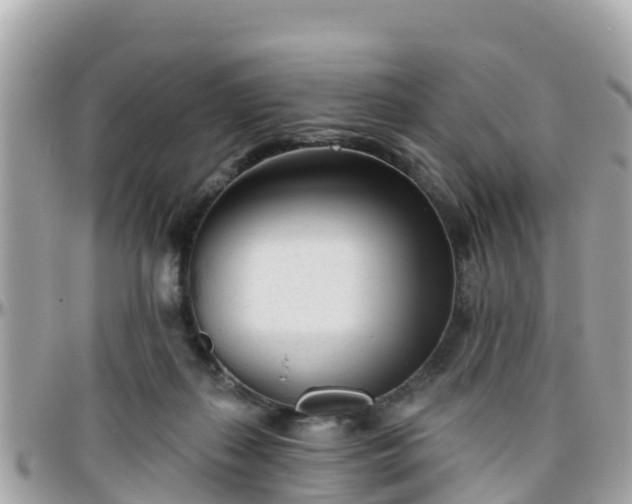 X0000096210267200801251041