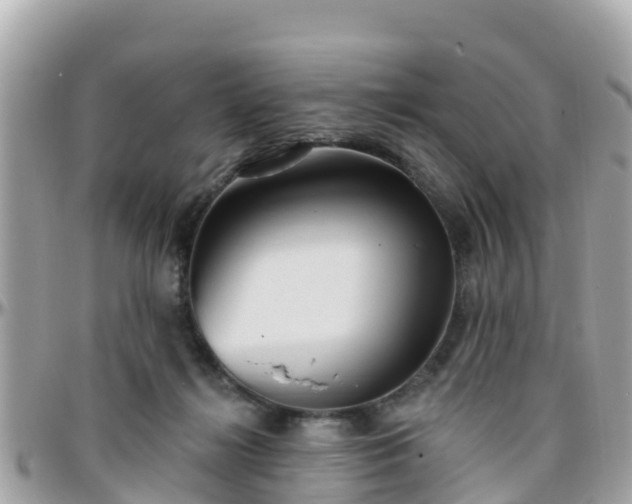 X0000096210268200801251041