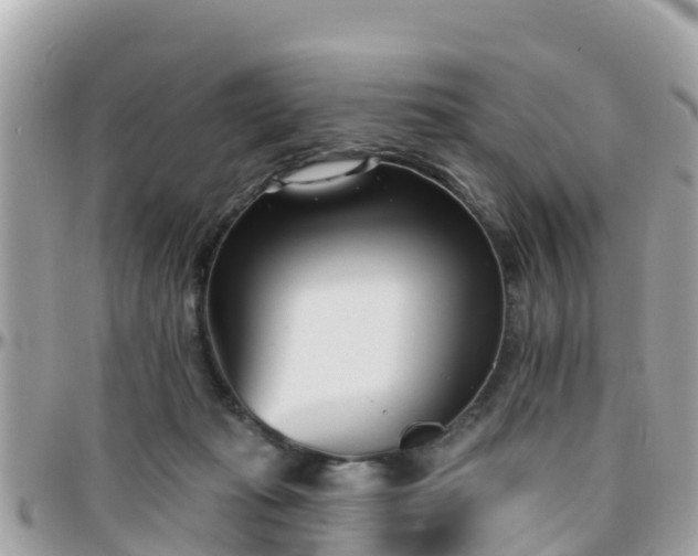 X0000096210269200801251041