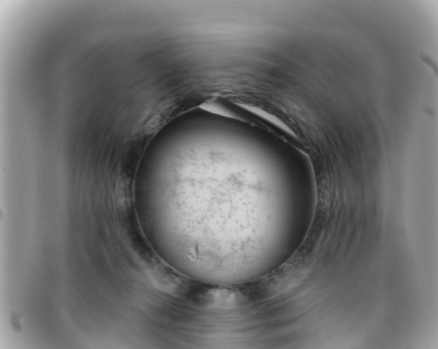 X0000096210272200801251041