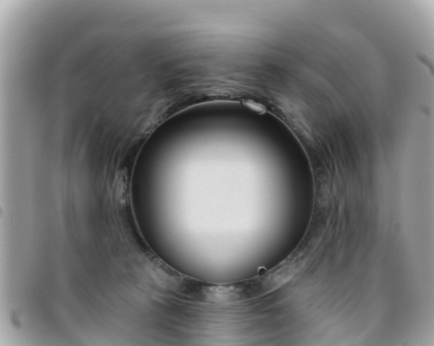 X0000096210273200801251041