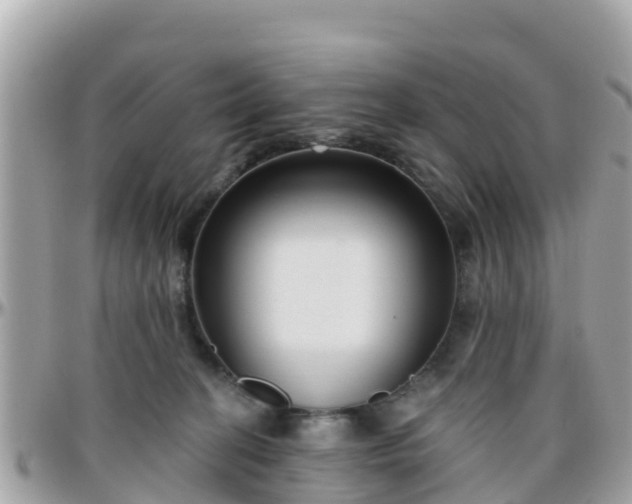 X0000096210274200801251041